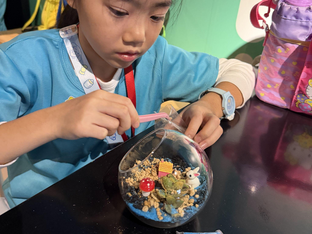 诺亚方舟游学团