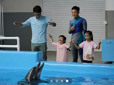 海洋公園奇幻水世界遊學團