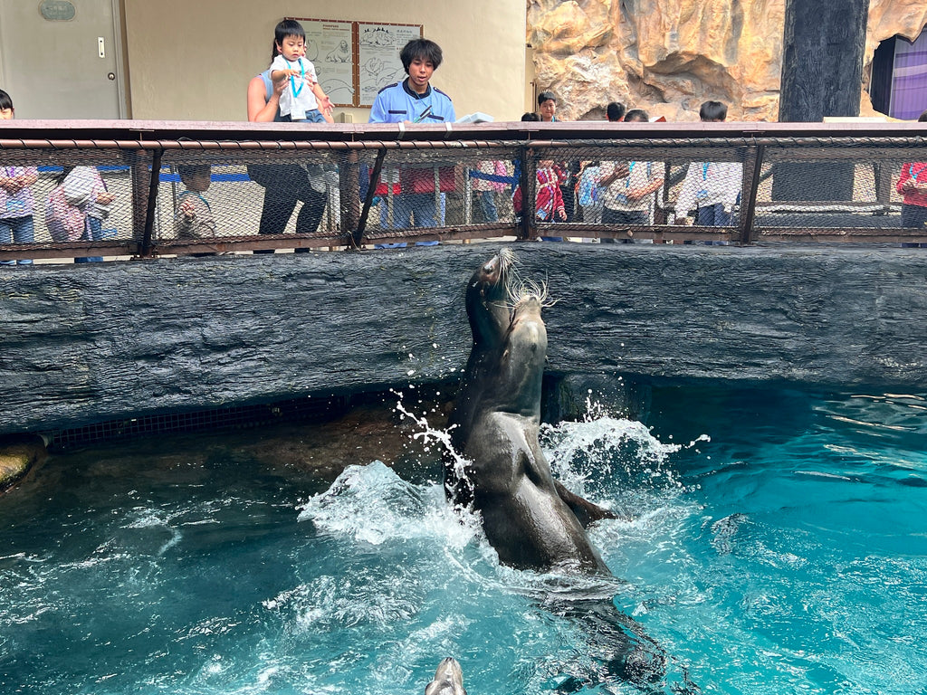 海洋公園動物互動遊學團