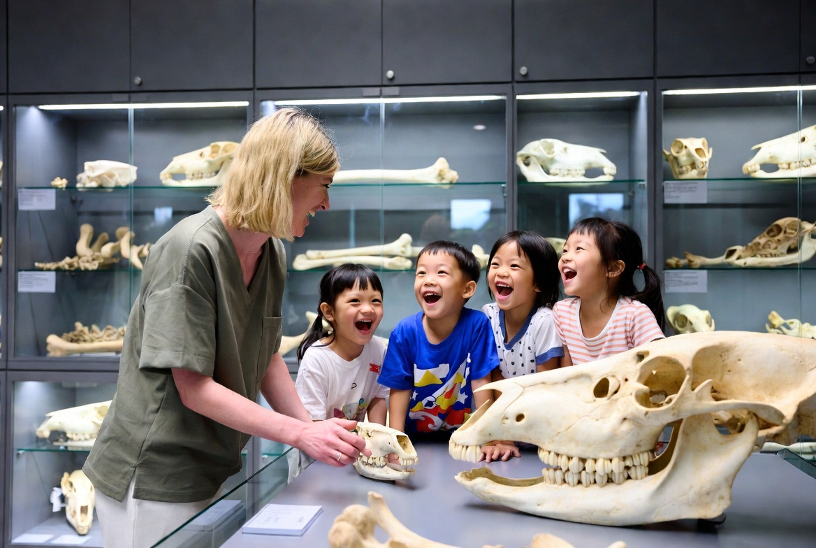 香港大学与生物多样性博物馆游学团