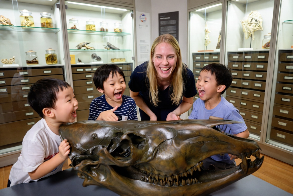 香港大学与生物多样性博物馆游学团