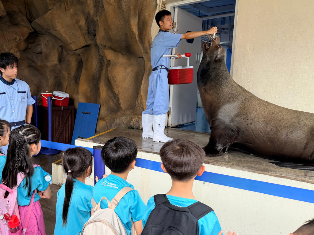 Ocean Park Animal Encounter Field Trip