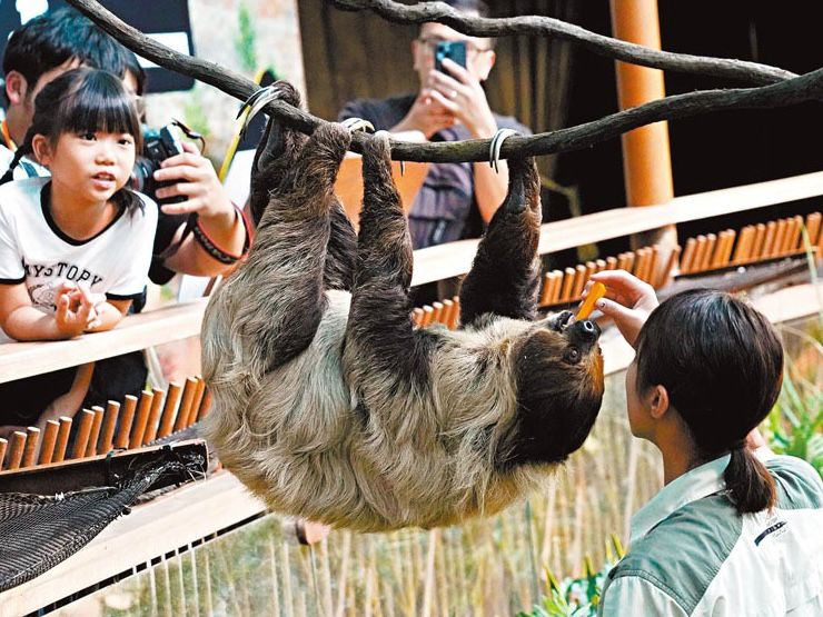 海洋公園奇幻水世界遊學團