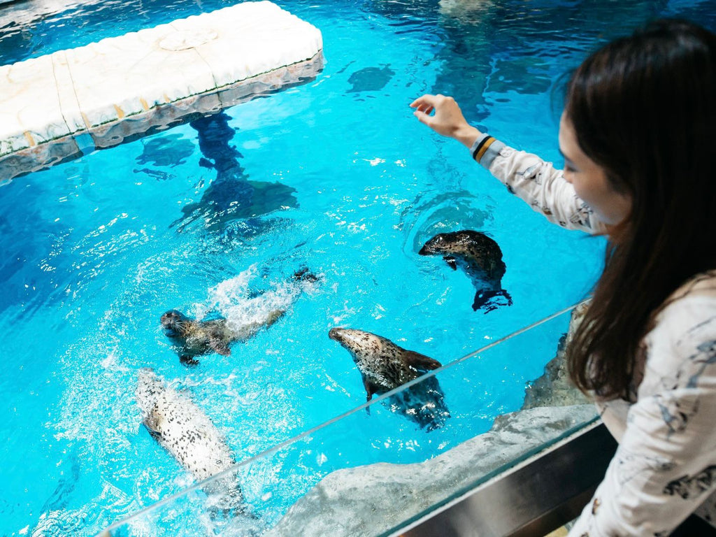 海洋公園奇幻水世界遊學團